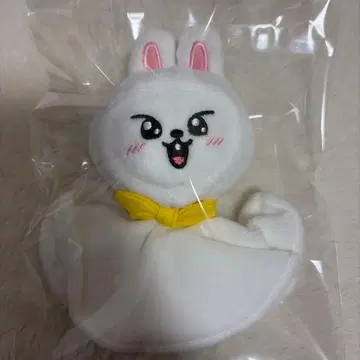 skzoo 백참 리빗 straykids