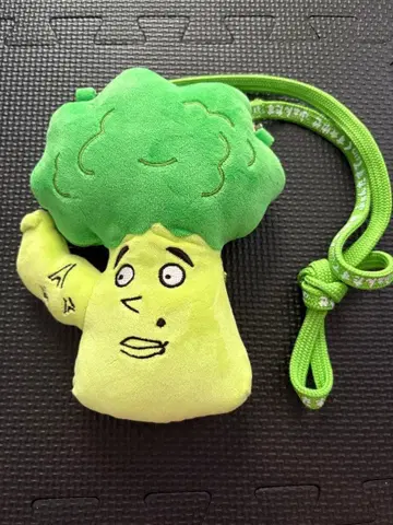 야기코리 패스 케이스 야기 유세이