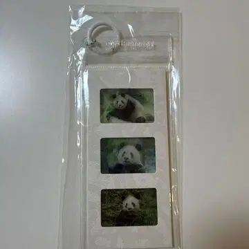 리리 신신 샹샹 우에노 팬더 추석 키링