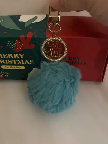 SHINee 2019 FUR KEYRING