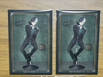 WIND BREAKER 윈브레 로프트 벚꽃 하루카 특전 엽서 벚꽃