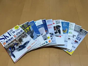 스키 그래픽 시리즈 2024 1년분