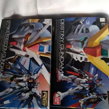 RG 스트라이크 프리덤 건담 & 데스티니 건담