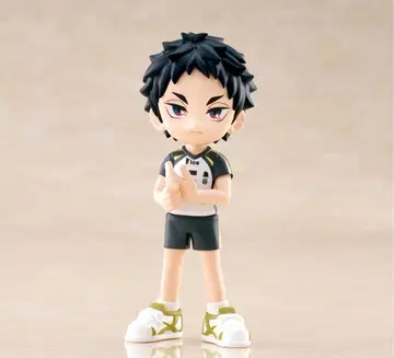 PalVerse 하이큐!! vol.2 아카아시 케이지