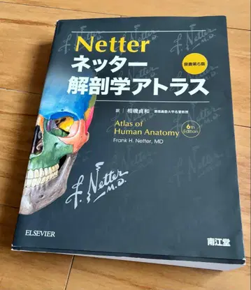 Netter 해부학 아틀라스 6판