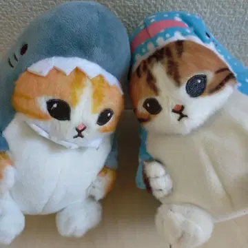모프 샌드 상어냥 고양이와 상어 봉제 인형 2세트