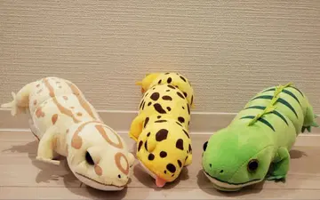 [인기] 레오파의 키이짱 봉제 인형 3개 세트