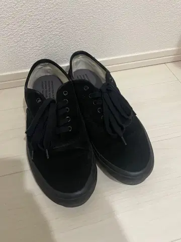 REPRODUCTION OF FOUNDUS 42