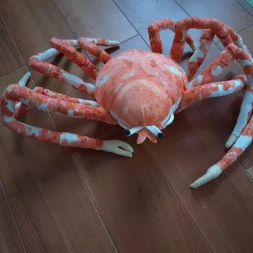 리얼 게 봉제 인형