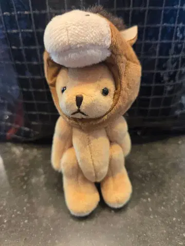 타리즈 해피백 2026 간지 베어풀