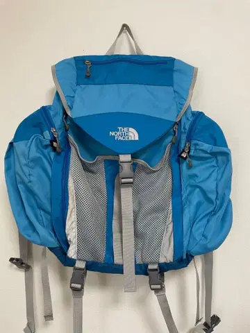 [ 새상품급 ] THE NORTH FACE 백팩 파랑
