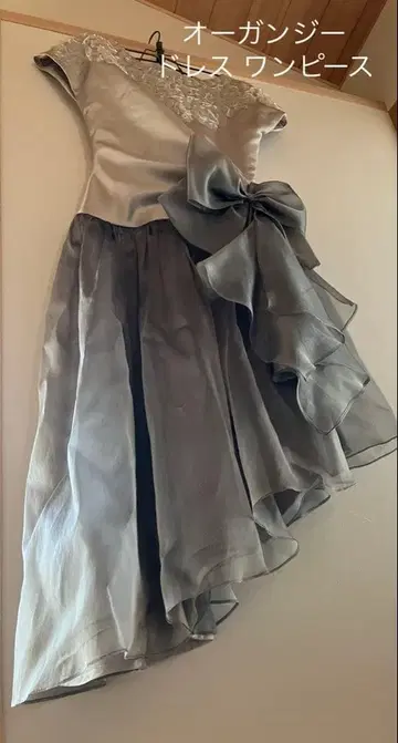 오간자 원피스 드레스