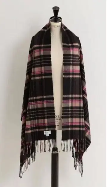 Johnstons 유나이티드 애로우즈 별주 캐시미어 스톨