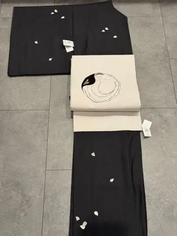 스나오 씨 코디 코몬