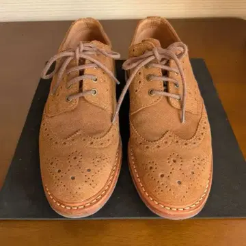 [ UNITED ARROWS green label ] 윙칩 25