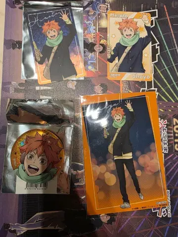 하이큐 코스모 월드 히나타 쇼요