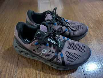 On Cloudsurfer 25.0cm