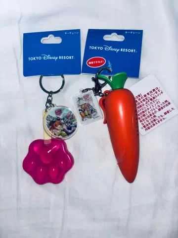 디즈니 주토피아 당근 키체인 녹음 기능 아이스 키링