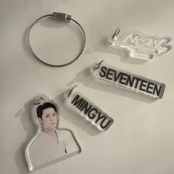 Seventeen New_ DIY 키 참 Mingyu 민규