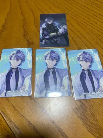 니지산지 코야나기 로우 묶음 판매