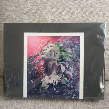 hide with spread beaver REPSYCLE