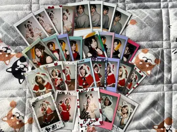 와이TV 야나상 야나세 요시 한정판 폴라로이드 29장 세트