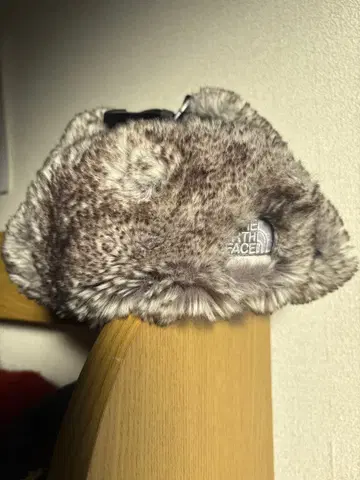 14일까지 가격 인하 중! THE NORTH FACE 플라이트 캡 그레이