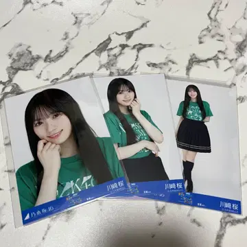 노기자카 생사진 카와사키 사쿠라 전츠 2025 미야기 라이브T 컴프