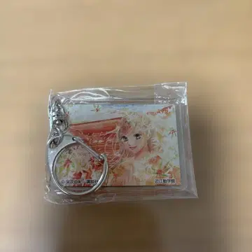 치하야후루 아크릴 키링