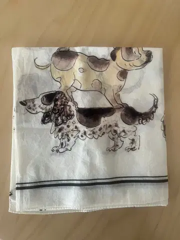 아츠 앤드 사이언스 스카프