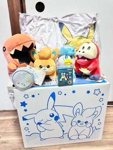 포켓몬 피카피카 박스 2025 미사용 봉제 인형