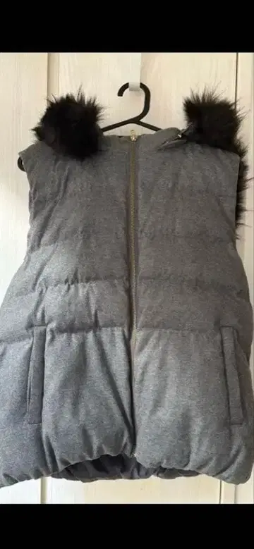 POWER UP IN JAPAN 다운 베스트 퍼 부착