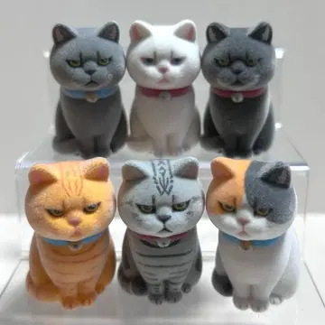 키탄클럽 종이 봉투 속 고양이 플로키 풀컴프 세트 멍냥이