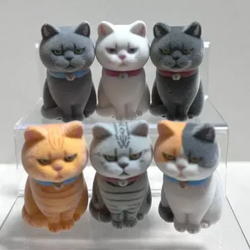 키탄클럽 종이 봉투 속 고양이 플로키 풀컴프 세트 멍냥이