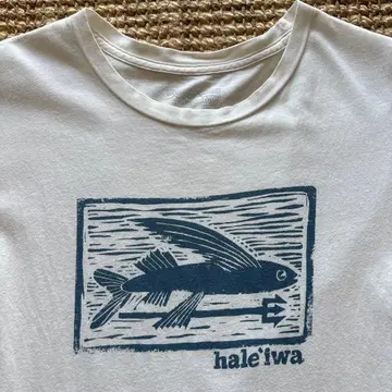 patagonia Haleiwa 프린트 오가닉 코튼 T 미국제
