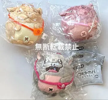 코비토카바 유치원 시플라