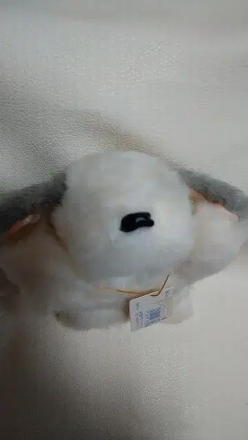 나카지마 코퍼레이션 강아지 봉제 인형 코855