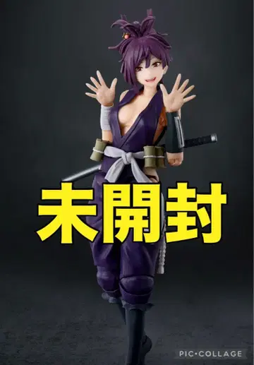 S.H.Figuarts  지옥락