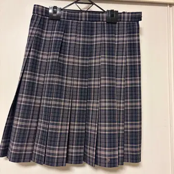 사가미 여자대 고등부 체크 무늬 플리츠 스커트 네이비