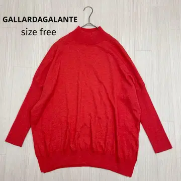 GALLARDAGALANTE 모크넥 돌먼 슬리브 니트