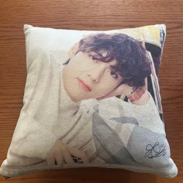 BTS 태태 쿠션