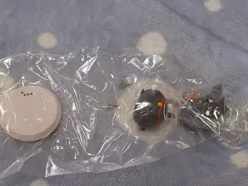 나츠메 우인장 제일복권 오늘 밤은 연회 H상 치비큥캬라 블랙냥코