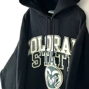 챔피온 콜로라도 맨투맨 후드티 L 블랙 블랙 구제 의류