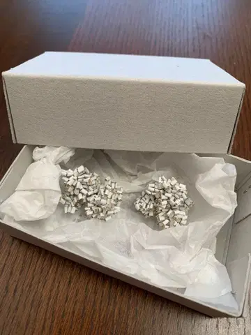 ititi 작가님 이그사 귀걸이 White