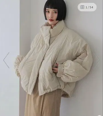 몬스터 숏코트지