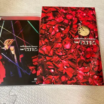 Acid Black Cherry 투어 2012 DVD