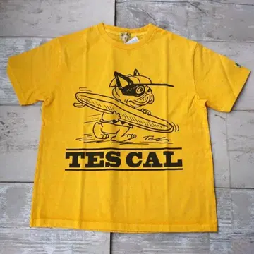 25 최신작! TES VINTAGE GRAPHIC PIG Tee