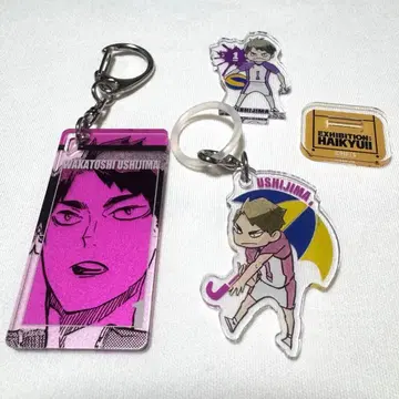 하이큐 우시지마 와카토시 아크릴 스탠드 엄브렐라 참