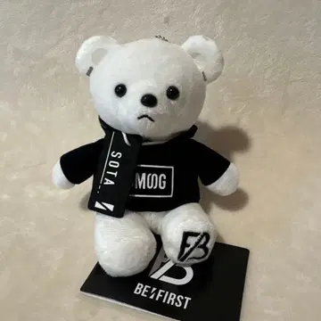 BE:FIRST 소우타 SOTA 곰 봉제 인형 BMSG