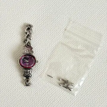 ANNA SUI 손목시계